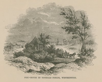 Pesthaus in Tothill Fields von English School