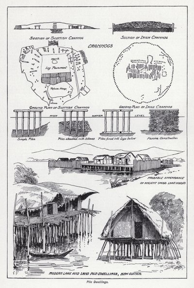Pæleboliger (litho) af English School