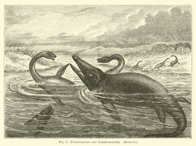 Plesiosaurus og Ichthyosaurus af English School