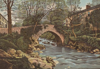 Plymouth: Ivybridge, nær Plymouth (farve litho) af English School