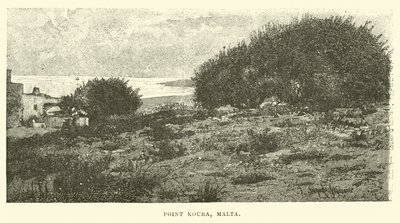 Point Koura, Malta af English School