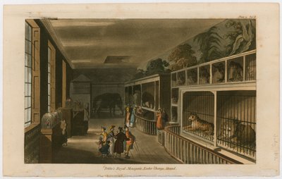 Politos Royal Menagerie, Exeter Change, Strand af English School