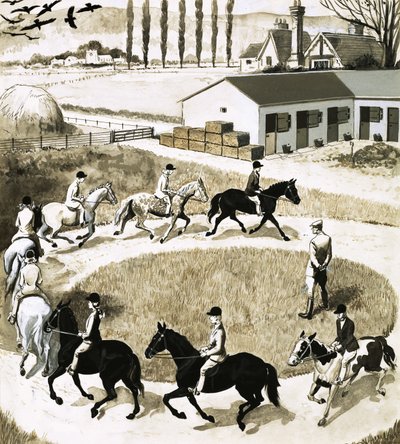 Ponyer træner af English School