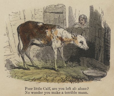 Armes kleines Kalb, bist du ganz allein? Kein Wunder, dass du so schrecklich weinst (kolorierte Gravur) von English School