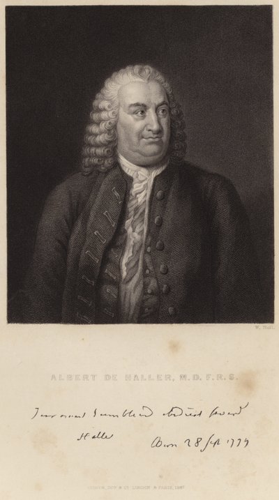 Portræt af Albert de Haller af English School