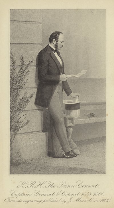 Portræt af Albert, Prinsgemalen af English School