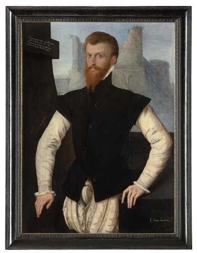 Portræt af Edward Courtenay, 1. jarl af Devon, ca. 1555 af English School