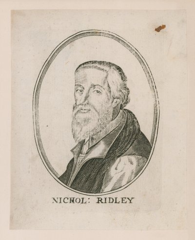 Portræt af Nicholas Ridley af English School
