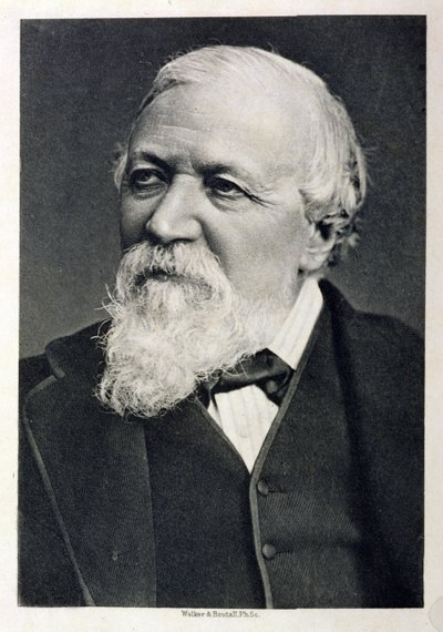 Portræt af Robert Browning (1812-89) fra et fotografi af Fradelle og Young, indgraveret af Walker og Boutall, 1881 af English School