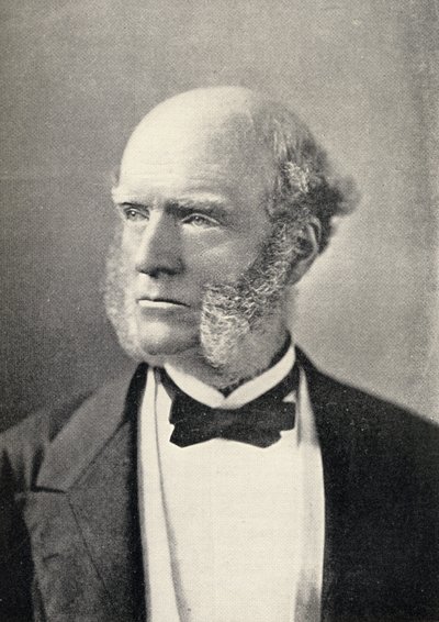Portræt af Thomas Hughes (1822-96) af English School