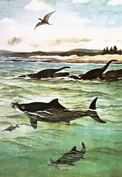 Forhistoriske havdyr af English School