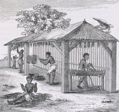 Preparing Tobacco, fra 