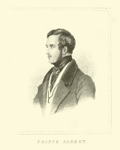 Prins Albert af English School