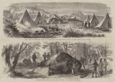 Prins Arthur i Sydafrika (gravering) af English School