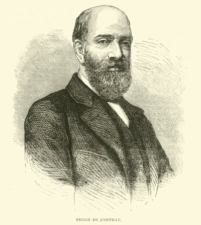 Prince de Joinville, februar 1871 af English School