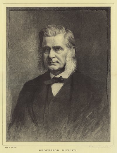 Professor Huxley (gravering) af English School