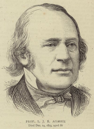 Professor L J R Agassiz (gravering) af English School