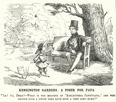 Punch tegneserie: barn stiller sin far et spørgsmål i Kensington Gardens, London (gravering) af English School