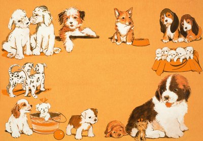 Hvalpe hunde af English School