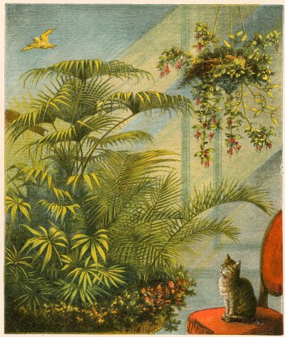 Pussy og Dicky, Cat og Canary af English School