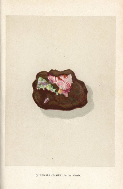 Queensland opal i matrixen, fra Edwin Streeters "Precious Stones and Gems," London, George Bell & Sons af English School