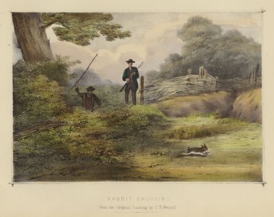 Kaninskydning (farve litho) af English School