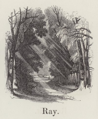 Ray (gravering) af English School