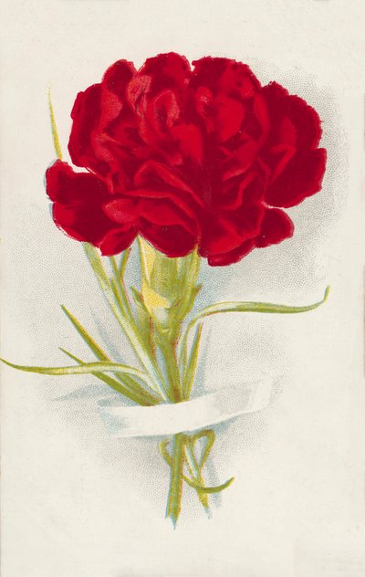 Rød nellike (chromolitho) af English School