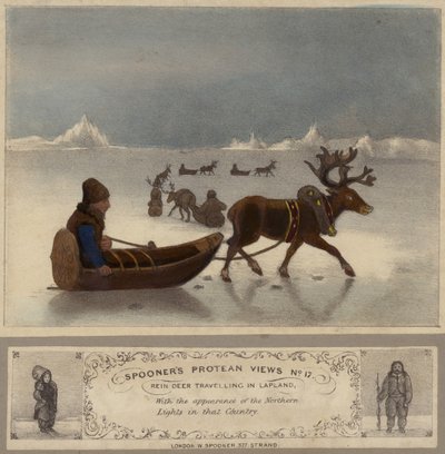 Rensdyr på rejse i Lapland af English School