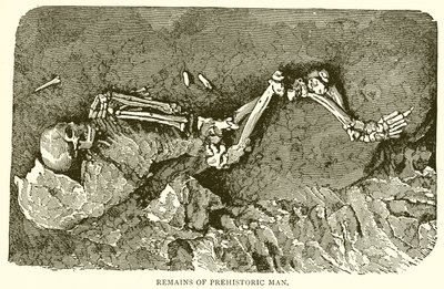 Rester af det forhistoriske menneske af English School