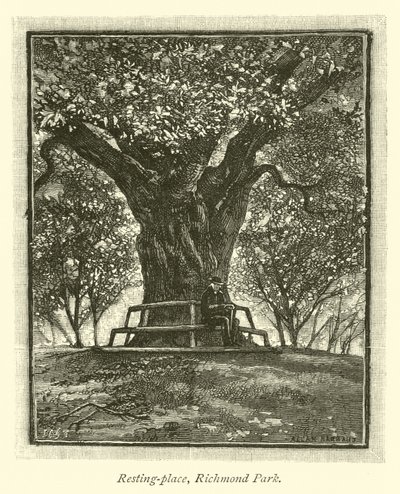 Resting-place, Richmond Park  af English School