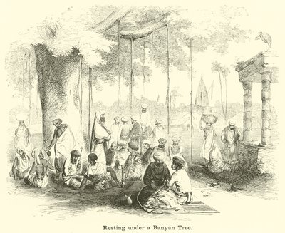 Hviler under et Banyan-træ af English School