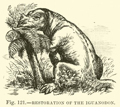 Restoration of the Iguanodon  af English School