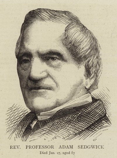 Ærværdig professor Adam Sedgwick (gravering) af English School