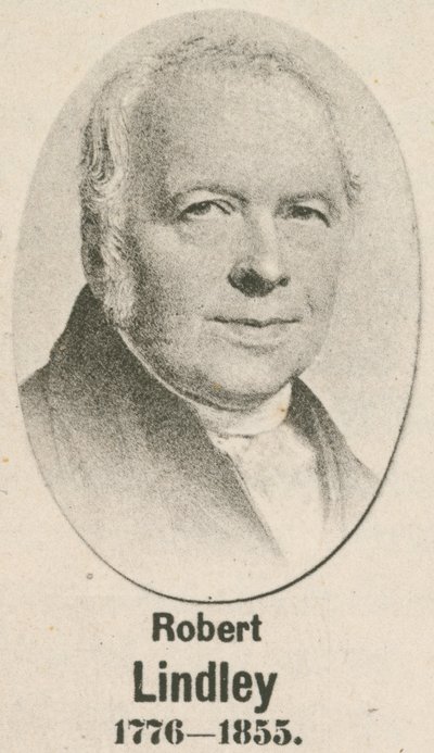 Robert Lindley (dybtryk) af English School