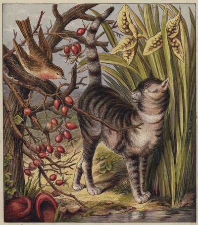 Robins julesang (farve litho) af English School