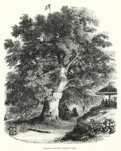 Robinson Crusoes kastanjetræ (gravering) af English School