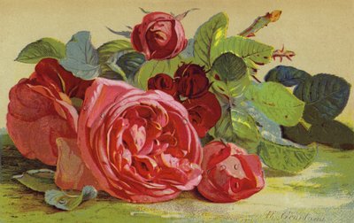 Roser, hertugen af Edinburgh af English School