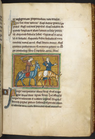 Kongelig 12 F.XIII, f.39   To mænd med to mænd med æsler. , fra Bestiary (ff. 3-141), Lapidary (ff. 141v-149)  , 2. kvartal af det 13. århundrede (vellum) af English School