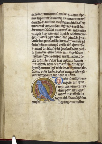Royal MS 12 C XIX f.50v, Hoopoe, fra 