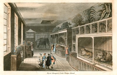 Royal Menagerie, Exeter Change, Strand (farvet stik) af English School