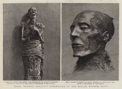 Royal Mummies for nylig unbandaged på Boulak Museum, Egypten (gravering) af English School