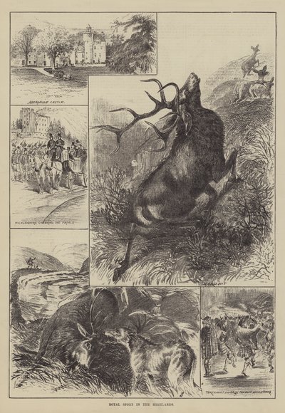 Royal Sport in the Highlands (gravering) af English School