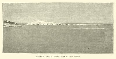Salmona Island, nær Point Koura, Malta af English School