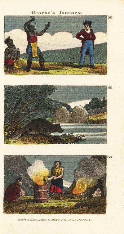 Samuel Hearne ser på en indiansk sværdsluger 58, nordamerikansk bæver, Castor canadensis 59 og indianere kogende vand i en trætønde med varme sten 60 af English School