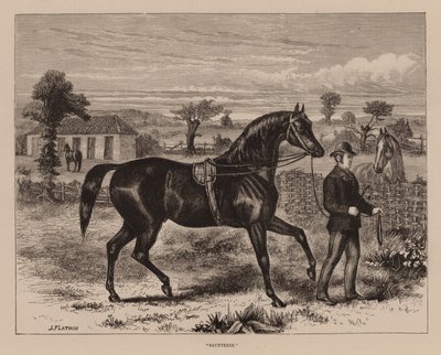 "Saunterer" (gravering) af English School