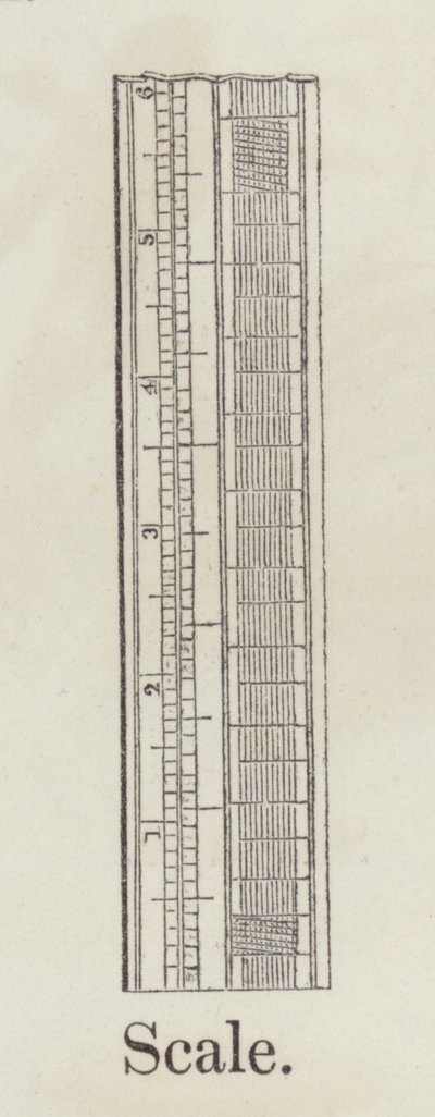 Skala (gravering) af English School
