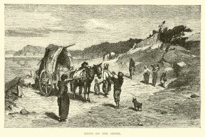 Scene på kysten af English School