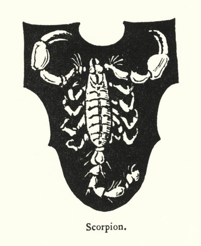 Scorpion (gravering) af English School