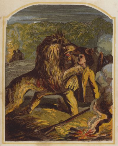 Den skotske missionær David Livingstone angrebet af en løve i Afrika (chromolitho) af English School